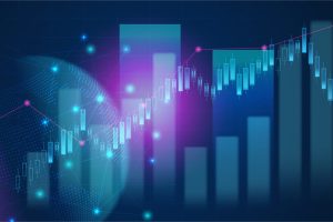 tipos de trader